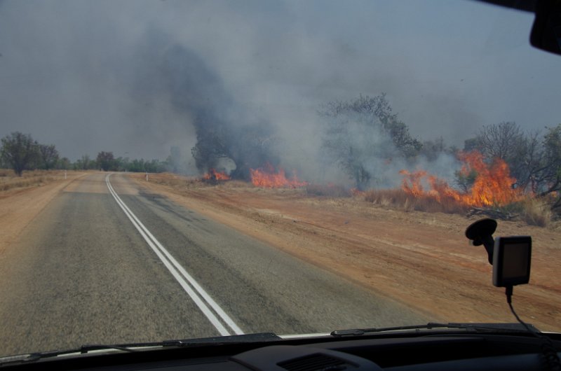 Australia12-087_tifj.jpg - Die Buschfeuer werde teilweise absichtlich gelegt um Platz zu schaffen für neue Grünpflanzen