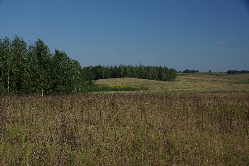 Polen_10-405.JPG - Harmonische Landschaft