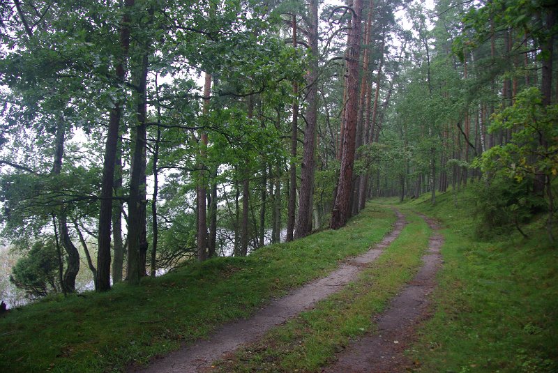 Polen_10-583.JPG - Romantischer Waldweg am Mokre See