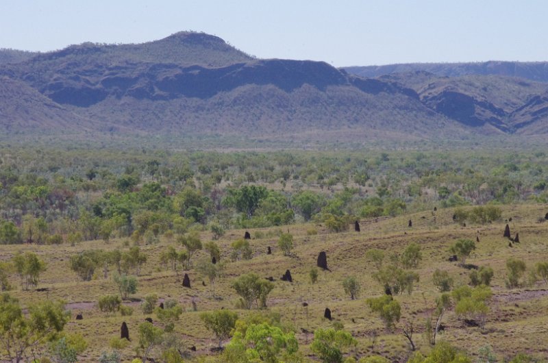 Australia12-064_tifj.jpg - Termitenhügel vor dem Osmand Range