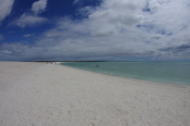 Australia12-146_tifj.jpg - Shell beach