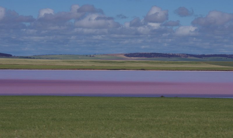 Australia12-220_tifj.jpg - noch mehr rosarote Seen