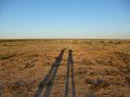 Australia12-207_tifj