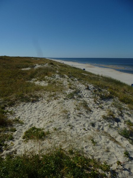 Baltikum-P523.JPG - Die Ostseeküste an der Kurischen Nehrung