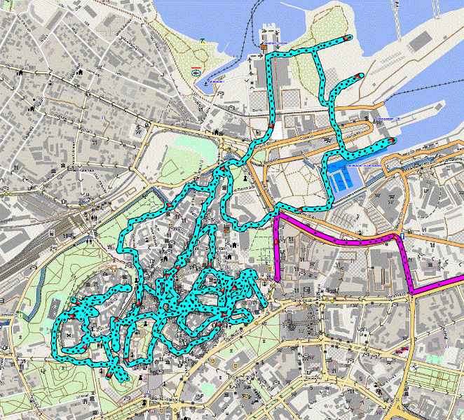 Tallinn.GIF - Wir entdecken Tallin zu Fuss (hellblau) und mit dem Bus (pink)