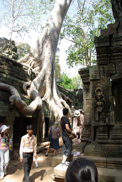 IMGP7009.JPG - Tomb Raider wurde hier in Ta Phrom gedreht