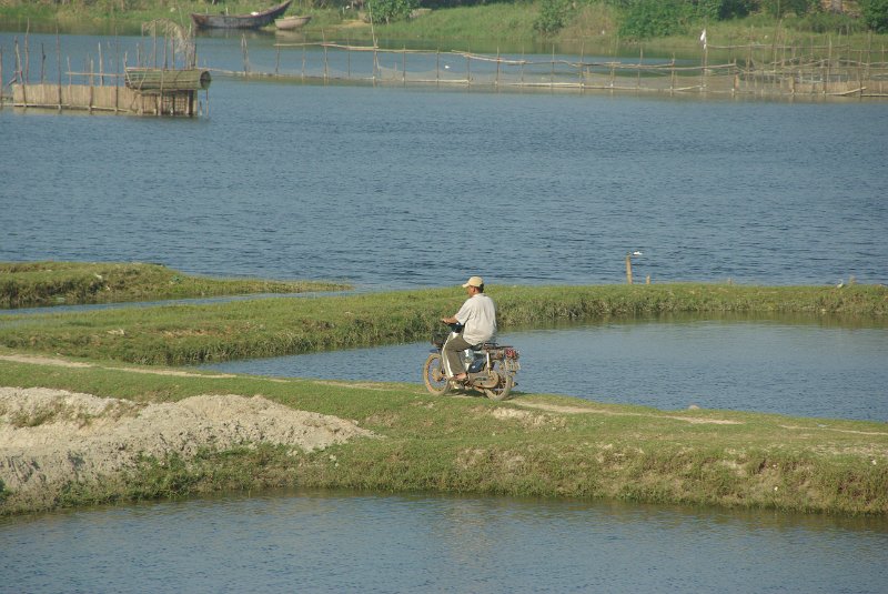 IMGP7870.JPG - Landwirtschaft sieht hier anders aus