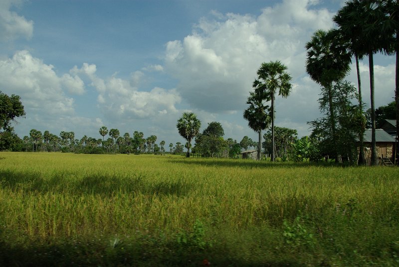 IMGP7202.JPG - Kambodscha: bei Siem Reap