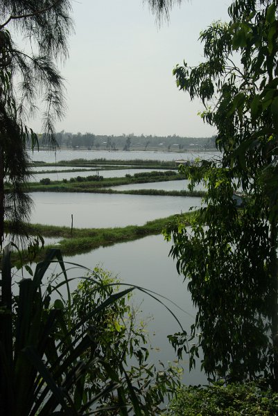 IMGP7829.JPG - Südlich Hoi An