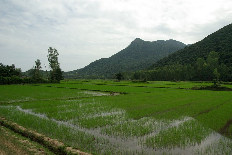 IMGP8043.JPG - Küstenstrasse zwischen Duong Lieu und Quy Nhon