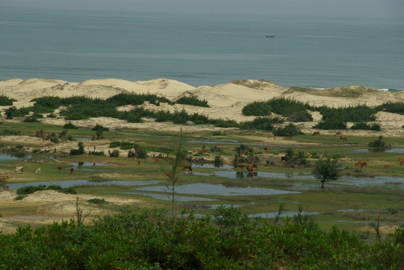 IMGP8063.JPG - Küstenstrasse zwischen Duong Lieu und Quy Nhon