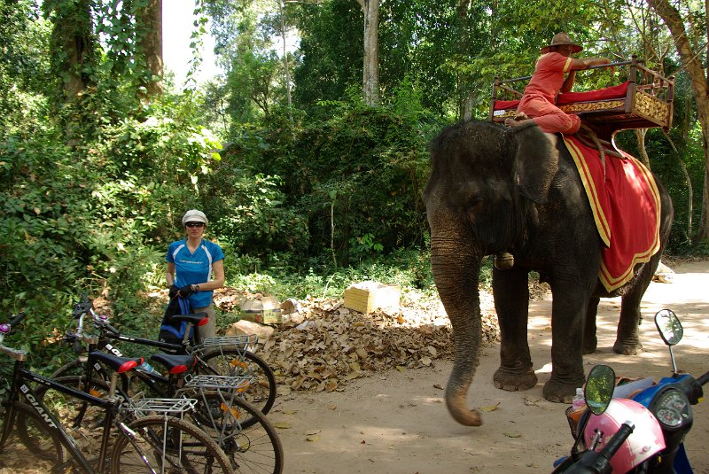 IMGP6977.JPG - Die Alternative der Verkehrsmittel - Parkplatz des Tempels Bayon