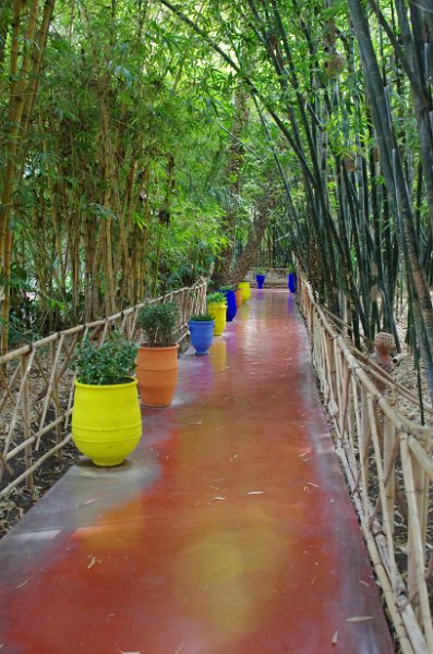 Mar-sel_001.JPG - Jardin Majorelle....