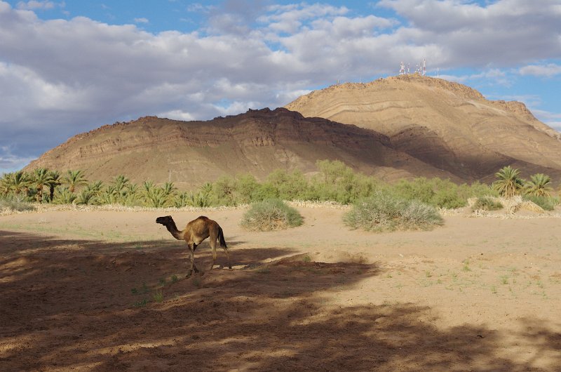 Mar-sel_055.JPG - Beim Pferdestall ausserhalb Zagora