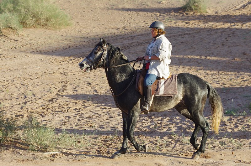 Mar-sel_060.JPG - Wir reiten Berber-Araber Hengste