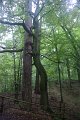 Polen_10-589