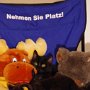 gemeinsam (ja, es es sind beide auf dem Bild) zusammen mit ein paar Freunden)