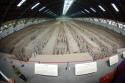 Halle 1: Terracotta Armee